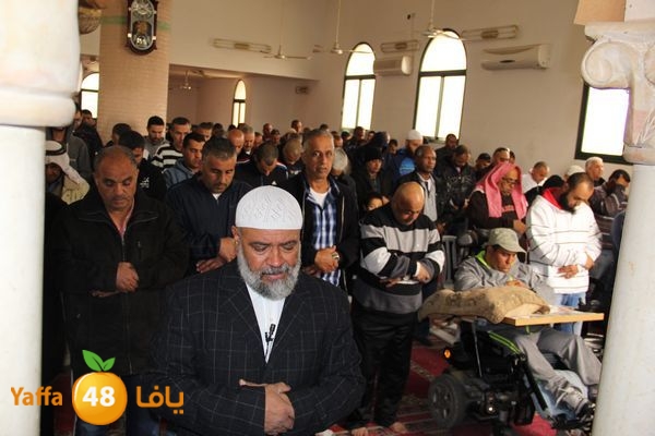 jarhoshuy msajed 0110 (6).JPG